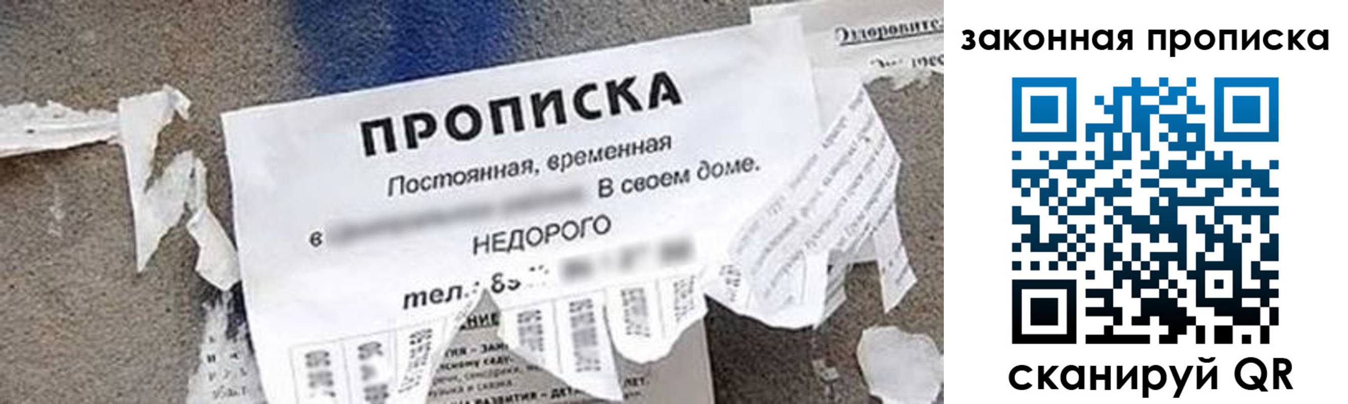 прописка иностранных граждан в Псковской области